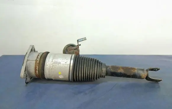 Audi A8 S8 D3 4E Rear shock absorber/damper 4E0616001F