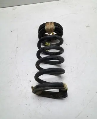 Ford Mustang VI Rear coil spring FR3C5560FC