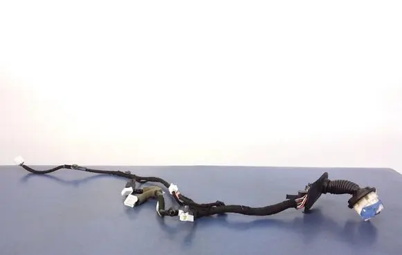Other wiring loom