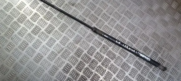 Tailgate/trunk strut/damper