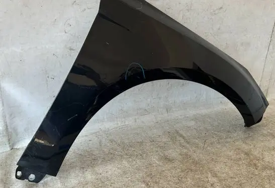 Ford Focus Fender