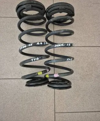 Rear coil spring