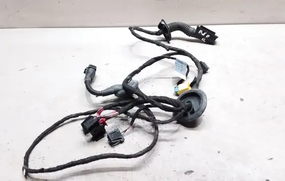 Front door wiring loom