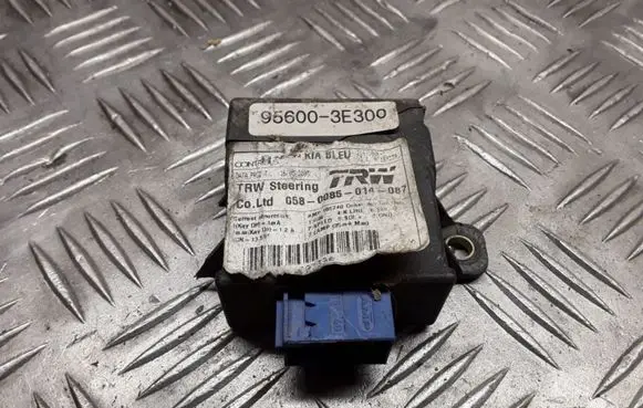 KIA Sorento Other control units/modules 956003E300 0580085014087
