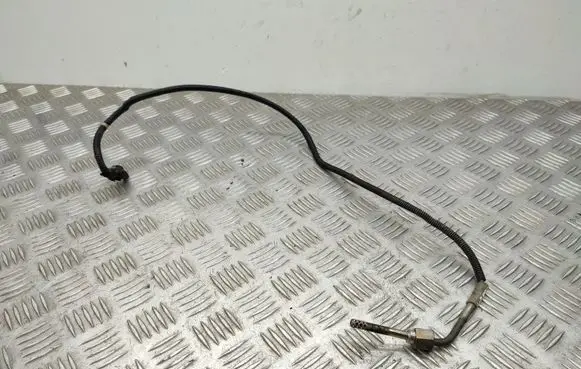 Mercedes-Benz A W176 Exhaust gas temperature sensor A0009058501