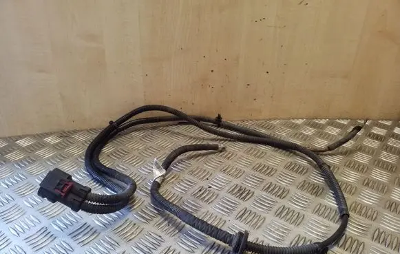 Audi A5 Sportback 8TA Other wiring loom 8K2971111A