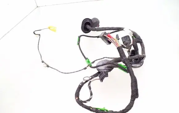 Front door wiring loom
