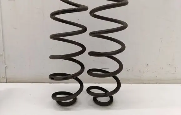 Rear coil spring