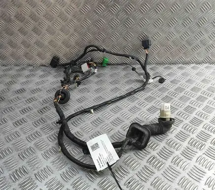 Aston Martin Vantage III Front door wiring loom 6G3314631AE
