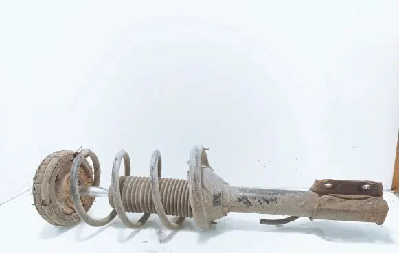 Subaru Legacy Rear shock absorber with coil spring 
