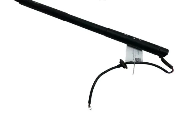 Tailgate strut