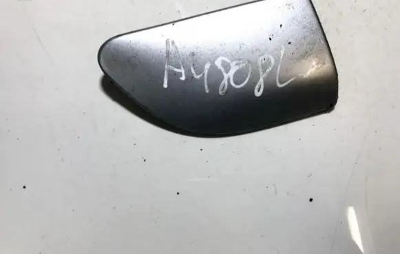 Fender trim (molding)