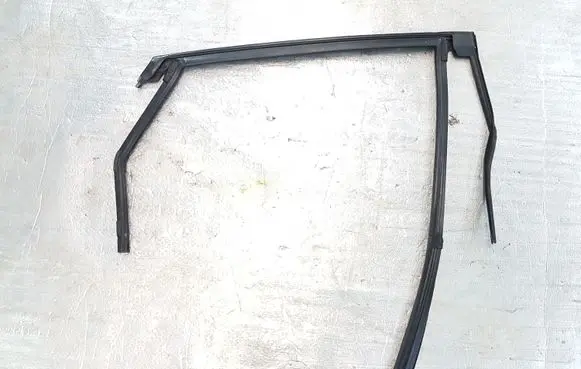 Ford Edge II Rubber seal rear door window/glass FT4BR25825