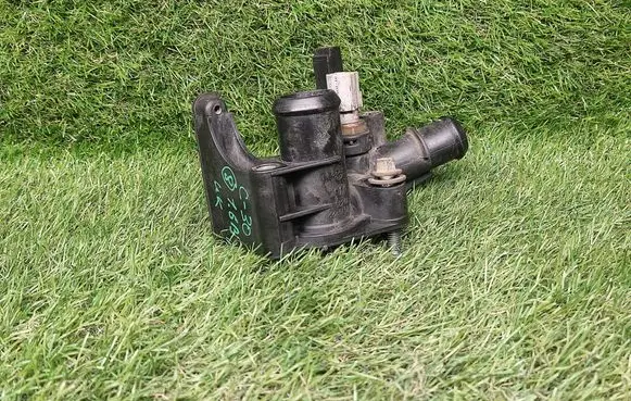Thermostat/thermostat housing