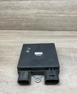 Opel Vectra C Fuel injection control unit/module 8973530400 1310001450