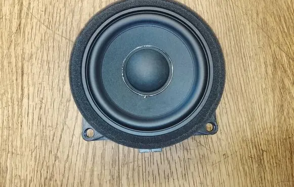 BMW X3 G01 Rear door speaker 6813105