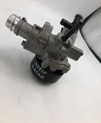 Hyundai Kona II Water pump 240726a0389