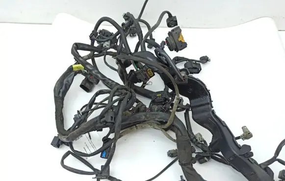 Mercedes-Benz R W251 Engine installation wiring loom A6421509688