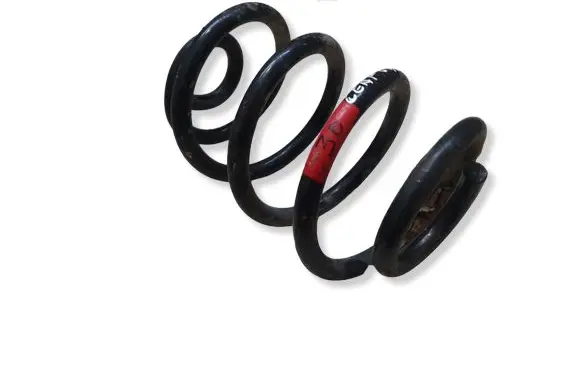 Nissan Leaf II (ZE1) Rear coil spring 