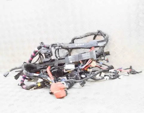 Tesla Model 3 Other wiring loom 256796407C