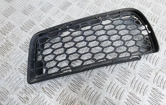 Front bumper lower grill