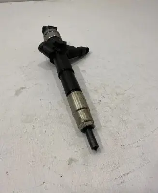 Nissan Pathfinder R51 Fuel injector 16600ec00b