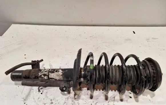 Citroen C3 Front shock absorber/damper