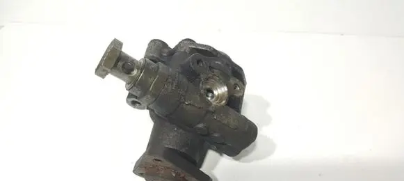 Volkswagen PASSAT B5.5 Power steering pump