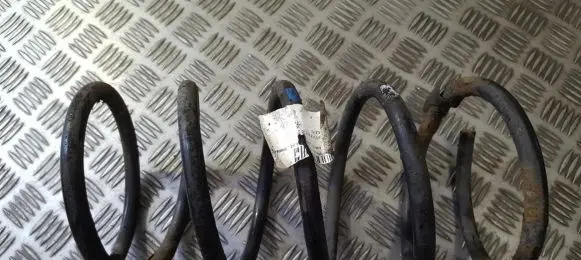 Hyundai Matrix Front coil spring