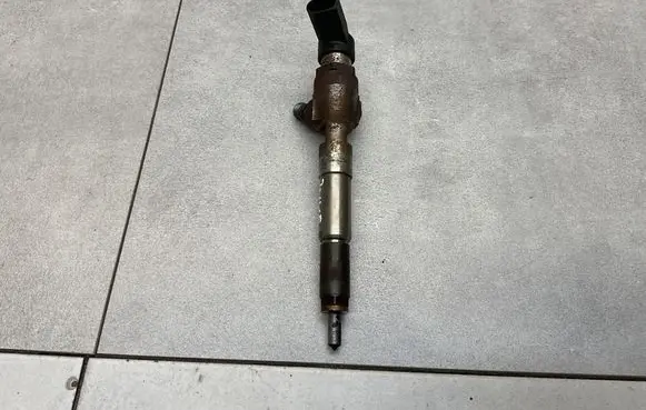 Nissan Juke I F15 Fuel injector H8201100113 166006212R