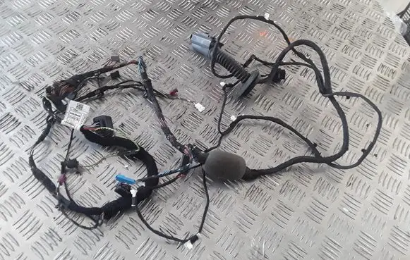 BMW 5 G30 G31 Front door wiring loom 2063688 11107810 G979601
