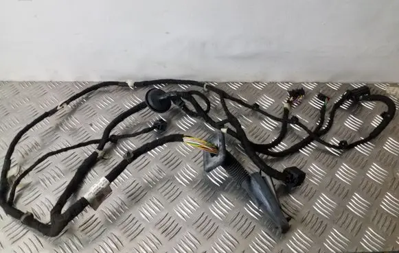 Front door wiring loom