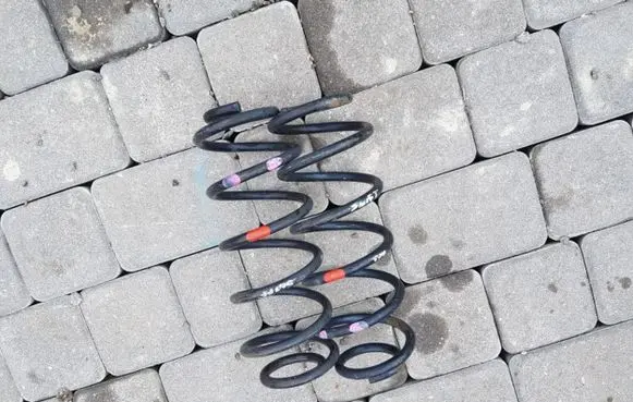 Suzuki Swift I Rear coil spring