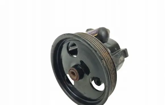 Dacia Duster Power steering pump 491105900R