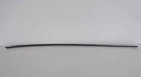 Ford C-MAX II Roof trim bar molding cover AM51R50463