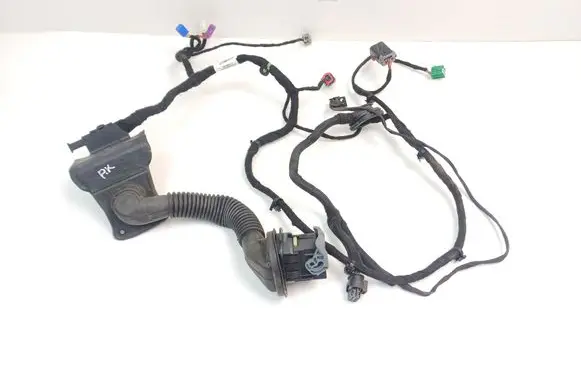 Front door wiring loom