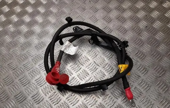 Jeep Compass Other wiring loom 52156247