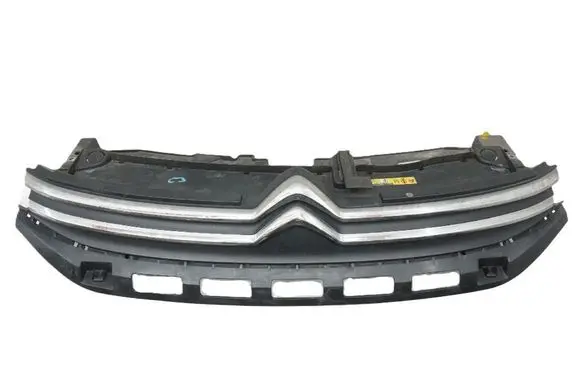 Citroen C3 Front grill 9812063477