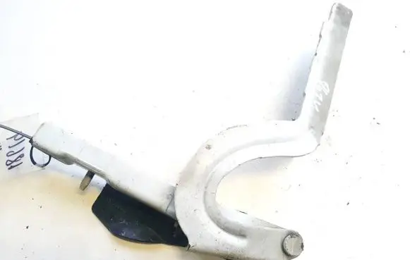 Citroen Jumpy Engine bonnet/hood hinges