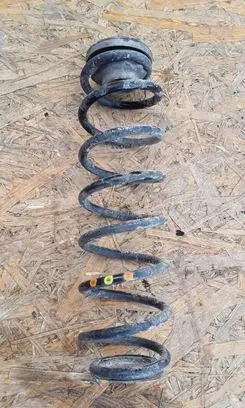 Rear coil spring