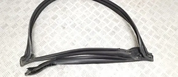 Chevrolet Corvette C7 Rubber seal front coupe door window 84367842