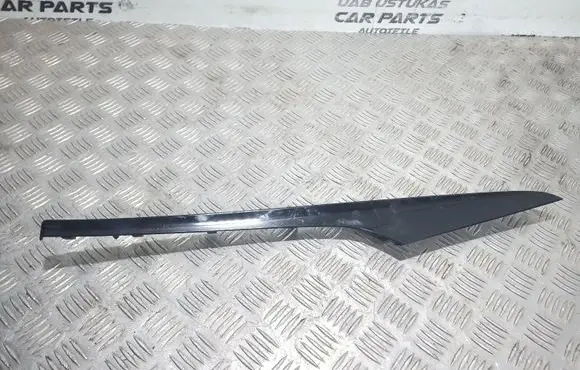 Other front door trim element