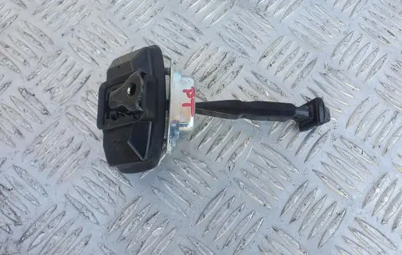 Dacia Sandero III Rear door check strap stopper PU7197