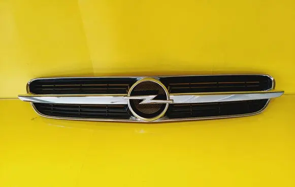 Opel Signum Front grill 464192822