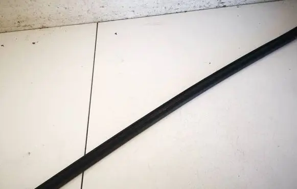 Peugeot 307 Rear door glass trim molding 9634456199