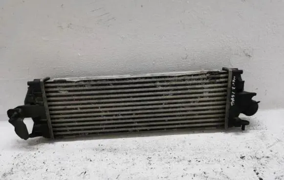 Renault Trafic II (X83) Intercooler radiator 93854162