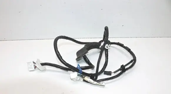 Subaru Forester SJ Tailgate/trunk wiring harness SG17181817