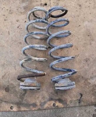 Seat Toledo II (1M) Rear coil spring