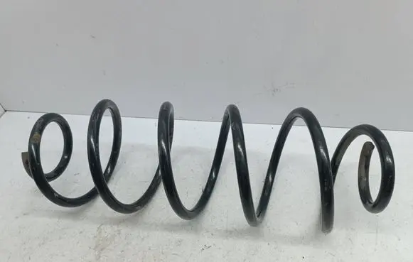 Rear coil spring