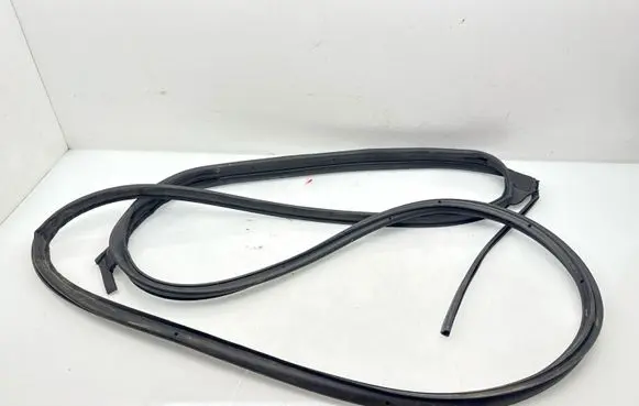 Nissan Juke II F16 Rubber seal rear door 828316PA0B